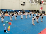 Shindokan Chiapas efectuó seminario _34