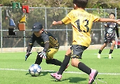 Tuzitos Jobo avanza a las semifinales_17