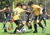 Tuzitos Jobo avanza a las semifinales_18