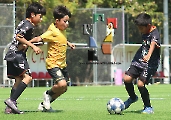 Tuzitos Jobo avanza a las semifinales_20