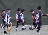 Tuzitos Jobo gana la Liga TF7 en categoría Pañales _18