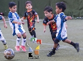 Tuzitos Jobo gana la Liga TF7 en categoría Pañales _22